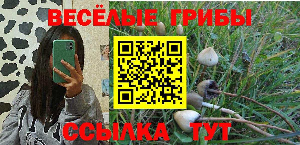 Галлюциногенные грибы прущие грибы Александров