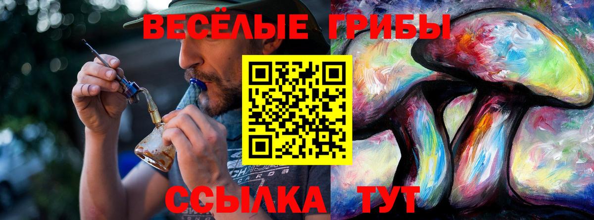 Псилоцибиновые грибы Psilocybe  Вход с VPN  Галлюциногенные грибы MAGIC MUSHROOMS  Александров 